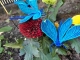 Stickdatei "FSL & ITH - Libelle-Blauflügel-Prachtlibelle (Calopteryx splendens)" --- Design Pack