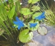 Stickdatei "FSL & ITH - Libelle-Blauflügel-Prachtlibelle (Calopteryx splendens)" --- Design Pack