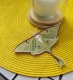 Stickdatei "FSL - Schmetterling Mondmotte (Actias luna)" --- Design Pack