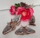 Stickdatei "FSL & ITH - Schmetterling Kleines Nachtpfauenauge (Saturnia pavonia)" --- Design Pack
