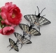 Stickdatei "FSL & ITH - Schmetterling Segelfalter (Iphiclides podalirius)" --- Design Pack