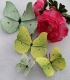 Stickdatei "FSL & ITH - Schmetterling Zitronenfalter (Gonepteryx rhamni)" --- Design Pack