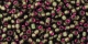 5g TOHO SeedBeads 15/0 TR-15-2204
