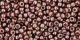 10 g TOHO Seed Beads 11/0 TR-11-0363 - Inside-Color Montana Blue/Oxblood Lined (E)
