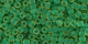 10 g TOHO Seed Beads 11/0 TR-11-0242 M - Inside-Color Frosted Jonquil/Emerald Lined (E)