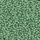 5 g Miyuki Seed Beads 11/0 - DURACOAT - 11-4214