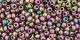10 g TOHO Seed Beads 11/0 TR-11-0509 - Higher-Metallic Purple/Green Iris (C)