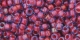 10 g TOHO SeedBeads 8/0 TR-08-0304