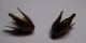 #35.1 - 5 Perlkappen "Tulpe" 14x10mm altgold/bronze