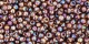 10 g TOHO Seed Beads 11/0 TR-11-0177 - Tr.-Rainbow Smoky Topaz
