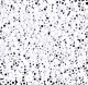 10 Gramm Miyuki Seed Beads 11-0402 F
