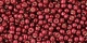 10 g TOHO Seed Beads 11/0 TR-11-PF564 - Permanent Finish - Galvanized Brick Red (A,D,C)