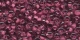 10 g Miyuki Magatama 4mm MA4-F03