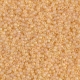 5 Gramm Miyuki Seed Beads 15-0132 FR