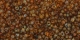 5g TOHO SeedBeads 15/0 TR-15-Y301