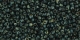 5g TOHO SeedBeads 15/0 TR-15-Y302