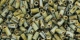 10 g TOHO Bugle TB-01-Y312