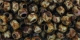 10 g TOHO Seed Beads 6/0 TR-06-Y312