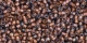 5g TOHO SeedBeads 15/0 TR-15-0278