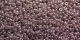 5 Gramm Miyuki Seed Beads 15-0437