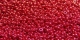 5 Gramm Miyuki Seed Beads 15-0425