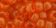 10 g TOHO Seed Beads 3/0 TR-03-0010 B
