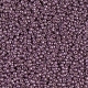 5 Gramm Miyuki Seed Beads 15-4220