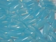 #45a - 50 Stück Dagger 10 mm opal babyblue