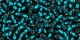 10 g TOHO Seed Beads 11/0 TR-11-0027 BD Teal Silver-Lined (A,D)