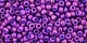 10 g TOHO Seed Beads 11/0 TR-11-0461 - Higher-Metallic Grape (C)