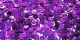 5 Gramm Pailletten 3mm Laser - violett