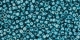 5g TOHO SeedBeads 15/0 TR-15-0108 BD