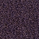 5 Gramm Miyuki Seed Beads 15-0308