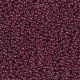 5 Gramm Miyuki Seed Beads 15-0313