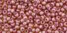 5g TOHO SeedBeads 15/0 TR-15-0960