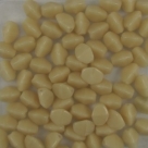 #49 - 50 Stck. Pinch-Bead 5x3mm - opak beige