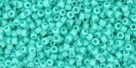 5g TOHO SeedBeads 15/0 TR-15-0055 - Opaque Turquoise