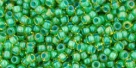 5g TOHO SeedBeads 15/0 TR-15-0947