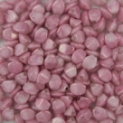 #05b - 50 Stck. Pinch-Bead 5x3mm - alabaster-pink marbled