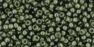 10 g TOHO Seed Beads 11/0 TR-11-0940 - Tr. Olivine