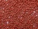 10 Gramm Miyuki Seed Beads 8-55051 lava red
