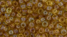 10 g TOHO SeedBeads 8/0 TR-08-1815