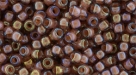 10 g TOHO SeedBeads 8/0 TR-08-1850