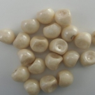 #11 20 Stck. Mushroom Beads 8mm alabaster champagne luster