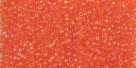 5g TOHO SeedBeads 15/0 TR-15-0174 B