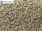 5 Gramm Miyuki Seed Beads 15-55097 black argentic full