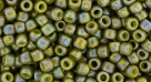 10 g TOHO SeedBeads 8/0 TR-08-2631 F