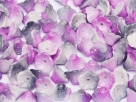 #05.14 25 Stück Trichterblüten 7x5 mm White Funky Purple