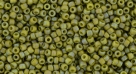 5g TOHO SeedBeads 15/0 TR-15-2631 F