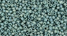 5g TOHO SeedBeads 15/0 TR-15-2634 F